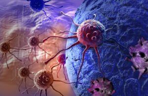 Illustration of cells
